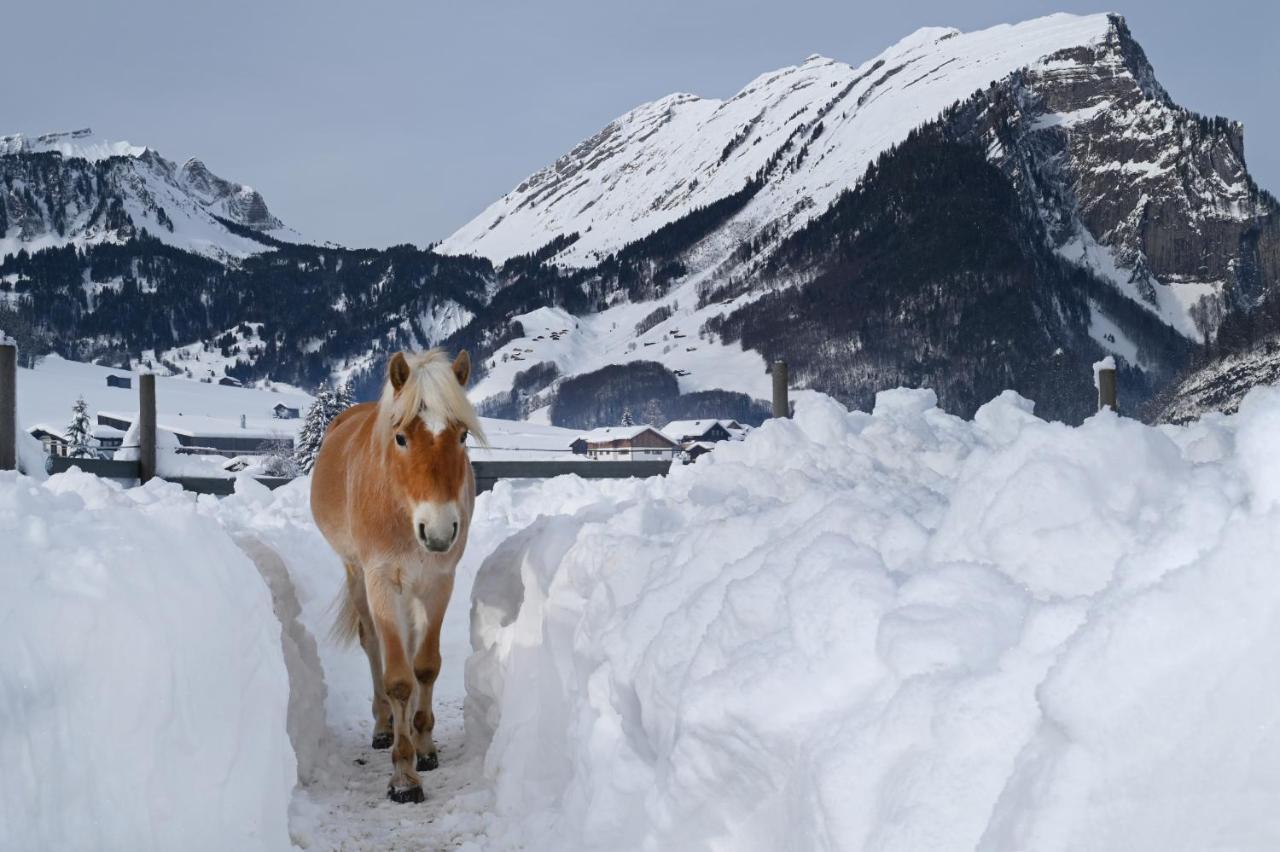Haus Bergquell Daire Au (Vorarlberg) Dış mekan fotoğraf